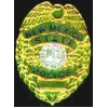 NEW MEXICO STATE POLICE PIN MINI BADGE PIN